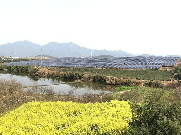 江山控股茶光互補(bǔ)電站項(xiàng)目